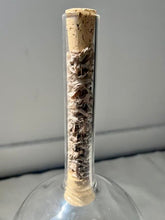 Load image into Gallery viewer, CRYSTAL SINGING BOWLS 7"- PLANT INFUSED - WITH CASE