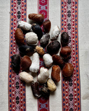Load image into Gallery viewer, RATTLES  MADE FROM GOAT SKIN
